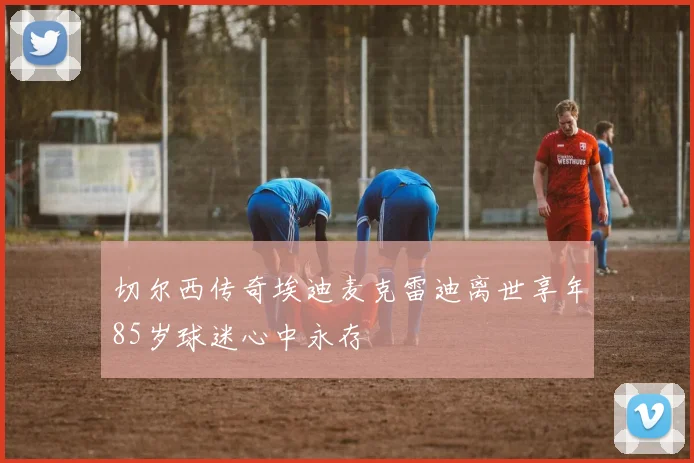 切尔西传奇埃迪麦克雷迪离世享年85岁球迷心中永存